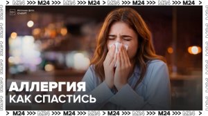 Россиянам рассказали, как помочь себе в сезон аллергии - Москва 24