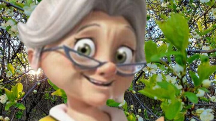 Курица с яблоками в духовке.