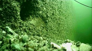 1000013939.mp4Волга гл.5м.04.04.2026г.