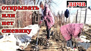 Дача.Первые работы.Строим душ.Привожу в порядок ягодные культуры