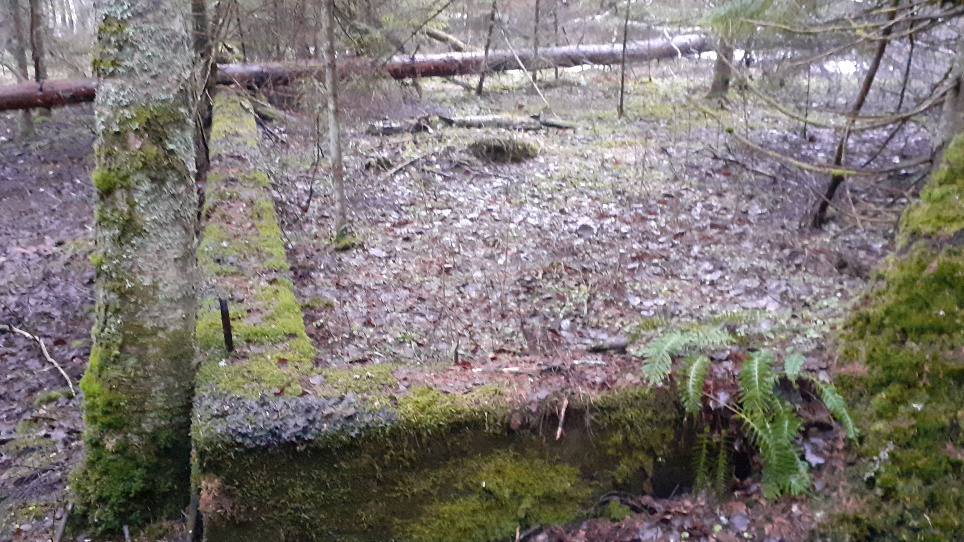 Склады шюцкора на Каннельярвской дороге. История Карельского перешейка. Уусикиркко.