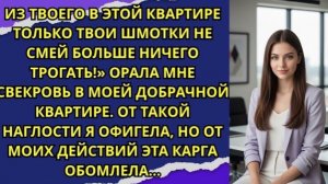 Из твоего в этой квартире только твои шмотки не смей больше ничего трогать!