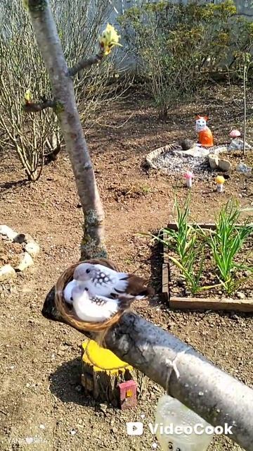 🌸 Ещё немного красоты в садочек 😁👌