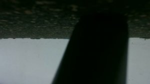 Север Главная 2 ворота 04.04