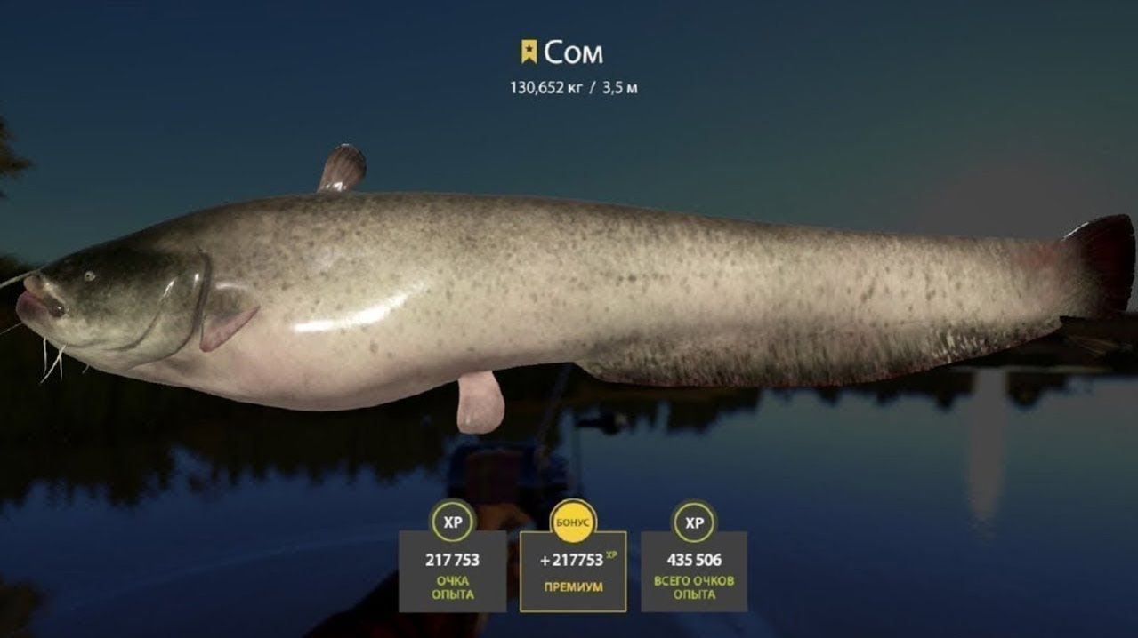 НОВЫЙ ФАРМ НА КУОРИ АХТУБЕ И МЕДНОМ? РАЗДАЧА ТРОФОВ НА АХТУБЕ ОБЗОР ВОДОЕМОВ В РУССКОЙ РЫБАЛКЕ 4 РР4