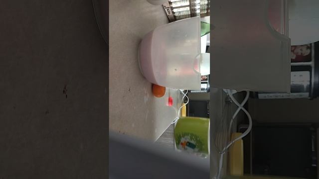 Zirek я приготовил вкусные блюда