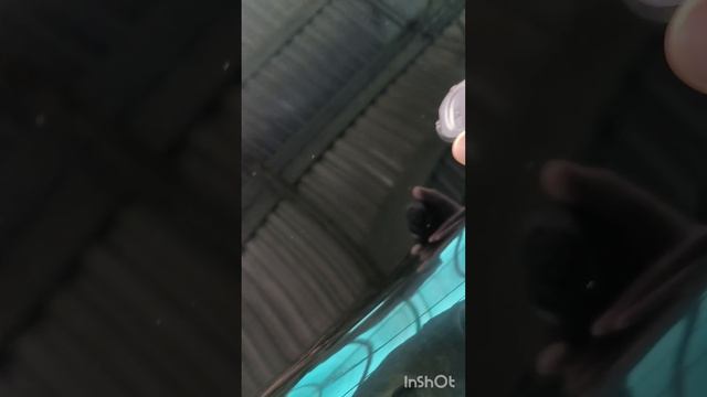 -262101716510131562 смотреть онлайн
