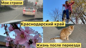 Купили дом. ТО газа. Без света и интернета. Накрыло ливнем. Жизнь на юге.