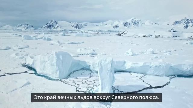 Лебедева_Краснодар смотреть онлайн