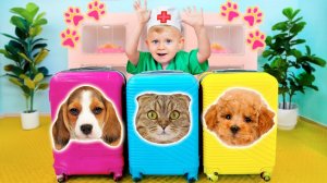 Отель для Животных и Другие интерессные видео