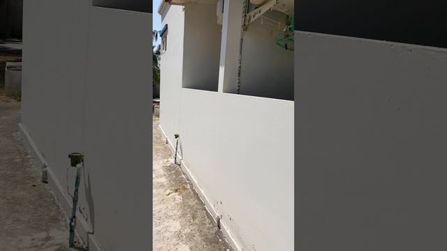 2023.01.31 Паттая, наш любимый дом и двор