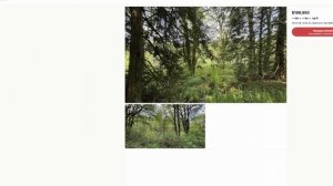 Как я чуть не влетел при покупке участка в США. Проверка шаг за шагом.(Лесная жизнь в Америке)