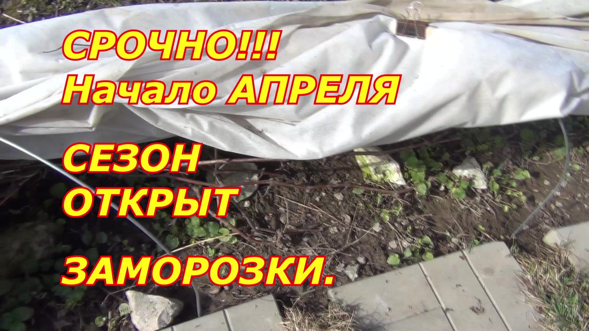 СРОЧНО. Начало апреля. Сезон открыт. ЗАМОРОЗКИ