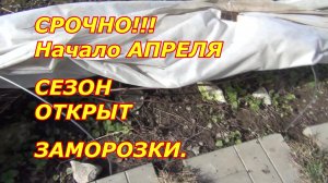 СРОЧНО. Начало апреля. Сезон открыт. ЗАМОРОЗКИ