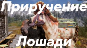 как приручить лошадь в игре икарус