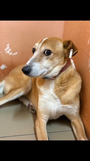 Нас как будто перестали слышать. Ситуация критическая.
Друзья, это не просто просьба о помощи