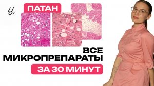 Все микропрепараты по патологической анатомии