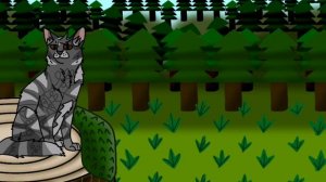 Отвечаю на ваши вопросы