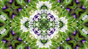 Видеофоны! Видеофон Подснежники 10! Футаж от Киностудии Мудрого Кота Тимофея!