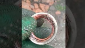 Замена сальника задней полуоси.