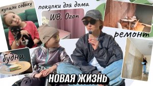 НОВАЯ ЖИЗНЬ: купили собаку , ремонт на кухне, покупки для дома WILDBERRIES и Ozon, спорт, еда. ВЛОГ