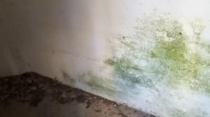 Артилерийский дворик в форте "Красная Горка" под Санкт-Петербургом.