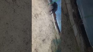 что то не то со съемкой