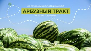 Креативный завтрак СКТ. Гастрономический маршрут Арбузный тракт