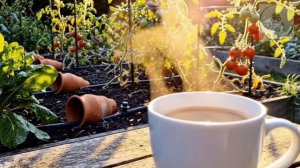 МЕТОД КАПЕЛЬНОГО ПОЛИВА ЗАТЕРЯНЫЙ В ПРОШЛОМ БЕЗ ЭЛЕКТРИЧЕСТВА И БЕЗ ОБОРУДОВАНИЯ