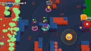 играю в brawl Stars 
и открываю боксы
