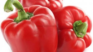 БЕЗОТХОДНОЕ💥 ЗЕМЛЕДЕЛИЕ  💥 УПАКОВКИ   💥ПОДПИШИСЬ