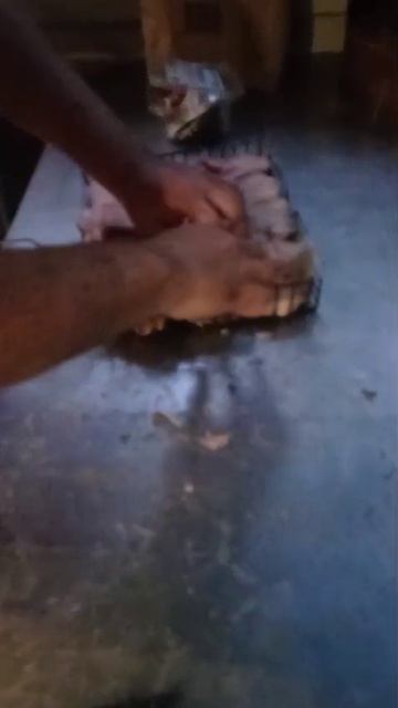 Готовим Тайменя вместе с АлтайТурМаркет !