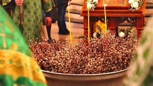 Ранняя Божественная Литургия. Неделя ваий (Вербное воскресенье). Вход Господень в Иерусалим