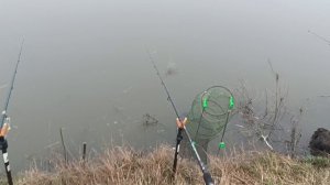 Обловили всех! Наловили рекордных карасей! 29.03.26. часть 1.