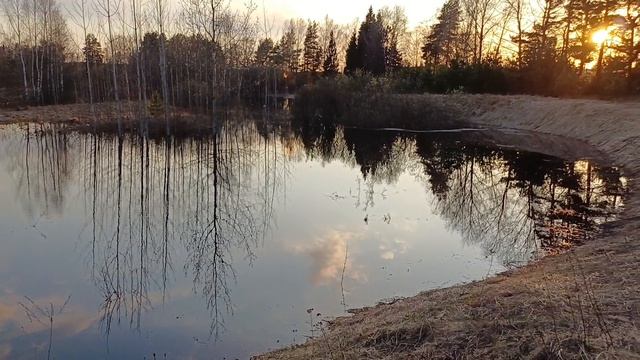 Весна весна ...