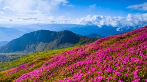 Коран на русском языке сура 004.Женшина ( Ан-Нисаъ )