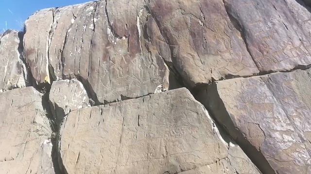 Путешествуем по Алтаю