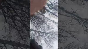 бравл старс