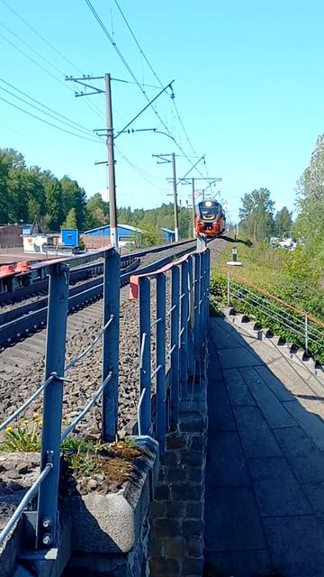 Рельсовый автобус 