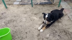 Пора его ,,заталкивать"