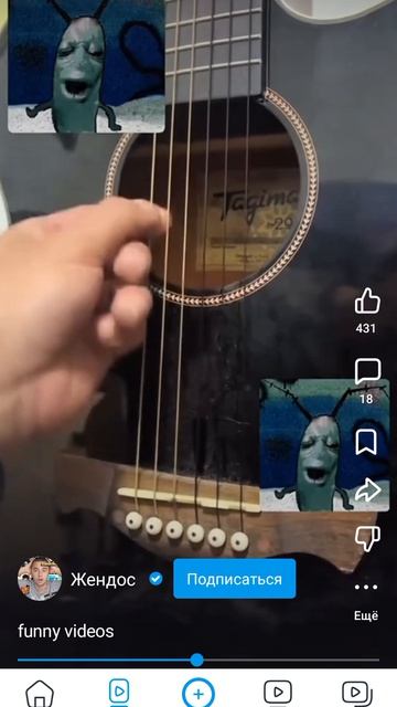 смешные видео