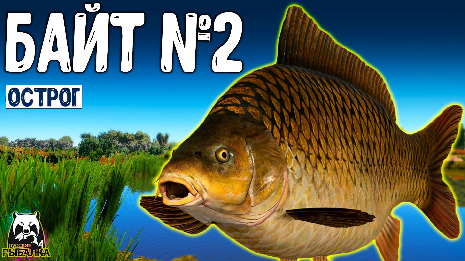 RF4 Повтороно попался на байт #рр4