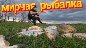 Ловля на фидер весной на водохранилище.