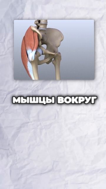 Тихий разрушитель суставов: Вы делаете это каждый день.