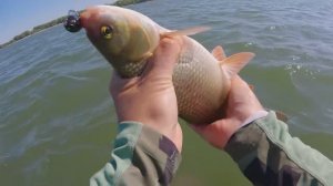 БЬЁТ СИЛЬНЫЙ ЯЗЬ- ЖУК В ДЕЛЕ! Любимая рыбалка на Ультралайт