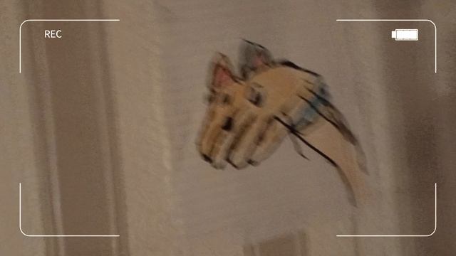 привет как у меня-то ёжик Бори достался сам он мне
куки ростроелся😿💔 и кинул машину 🚘