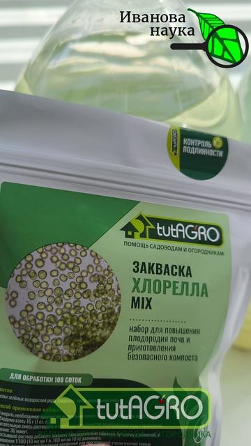 ❌ СТОП ПОЛИВ! Перестал поливать рассаду водой и очень доволен!