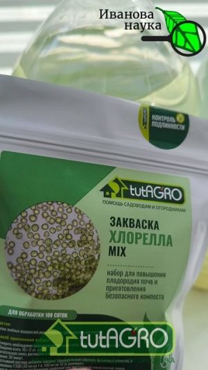 ❌ СТОП ПОЛИВ! Перестал поливать рассаду водой и очень доволен!