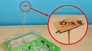 Башня Кормушка для Муравьев! Испытание Антипобега! Садовые муравьи в спячке.