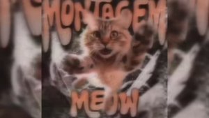 SHX4 x KVLTX - MONTAGEM MEOW MEOW (1 Hour)
